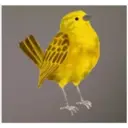 స్టికర్