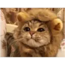 స్టికర్