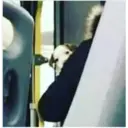 స్టికర్