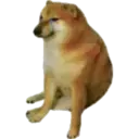 Կպչուն պիտակ