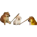 Կպչուն պիտակ