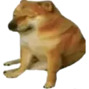 Կպչուն պիտակ