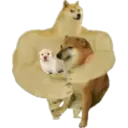 Կպչուն պիտակ