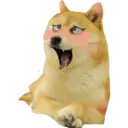 Կպչուն պիտակ