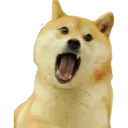 Կպչուն պիտակ