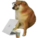 Կպչուն պիտակ