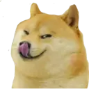 Կպչուն պիտակ