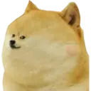 Կպչուն պիտակ