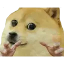 Կպչուն պիտակ