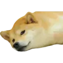 Կպչուն պիտակ