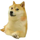 Կպչուն պիտակ