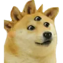 Կպչուն պիտակ