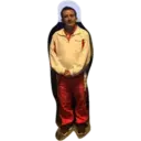 Samolepka