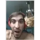 Samolepka