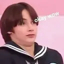 Figurinha
