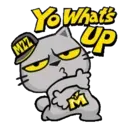 স্টিকার