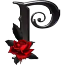 Samolepka