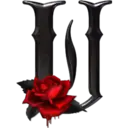 贴纸