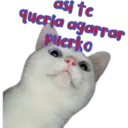 Ngjitës