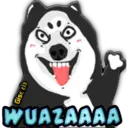 Stiker