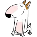 Nhãn dán