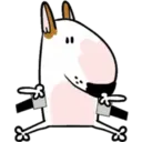 Nhãn dán