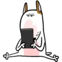 Nhãn dán