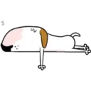 Nhãn dán