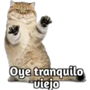 Figurinha
