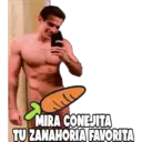 Stika