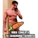 Stika