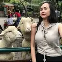 ملصق