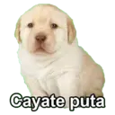 Figurinha