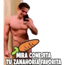 Stika