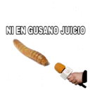 Samolepka