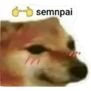 Límmiði