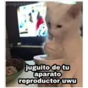 Figurinha