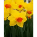 Կպչուն պիտակ