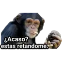 Límmiði