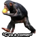 Límmiði