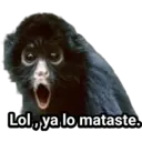 Límmiði