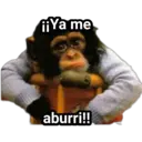 Límmiði