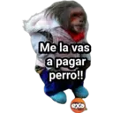 Límmiði