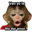 Límmiði