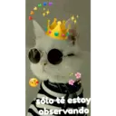 ਸਟਿਕਰ