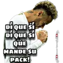 Samolepka