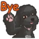 ஸ்டிக்கர்