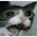 ملصق