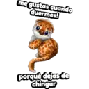 Nhãn dán