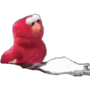 Klistermärke